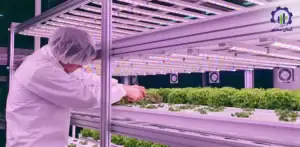 بررسی فرآیند پرورش گیاه در پلنت فکتوری