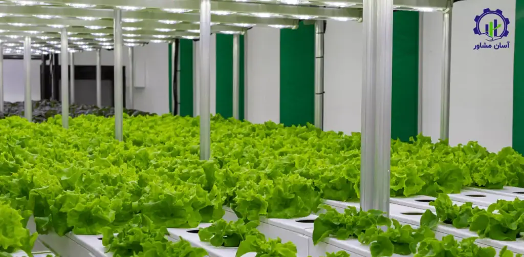 طرح توجیهی احداث پلنت فکتوری(کارخانه گیاهی)