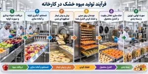 فرآیند تولید انواع میوه خشک در کارخانه