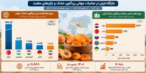 مقاصد صادرات زردآلوی خشک ایران و جایگاه جهانی آن در سال ۲۰۲۳
