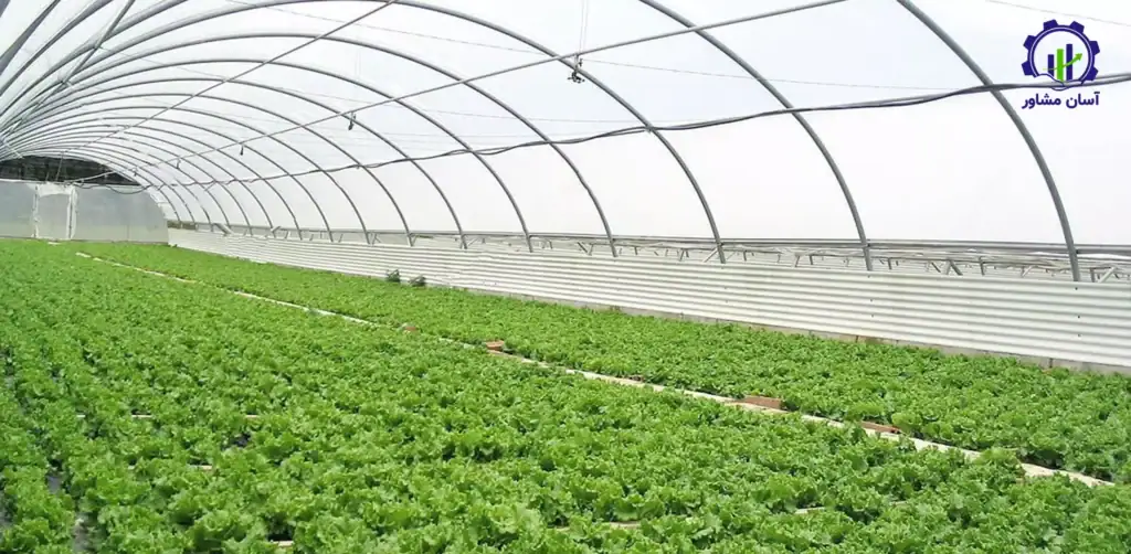 طرح توجیهی احداث گلخانه نت هاوس