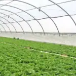 طرح توجیهی احداث گلخانه نت هاوس