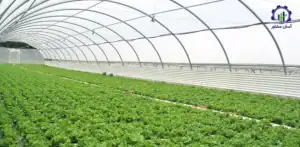 طرح توجیهی احداث گلخانه نت هاوس