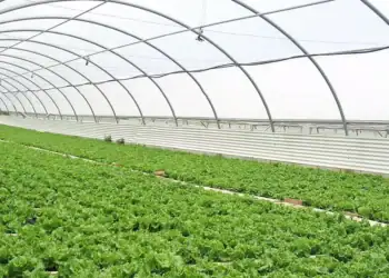 طرح توجیهی احداث گلخانه نت هاوس