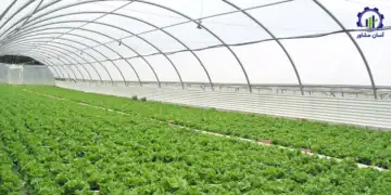 طرح توجیهی احداث گلخانه نت هاوس