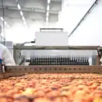 طرح توجیهی تولید میوه خشک