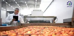 طرح توجیهی تولید میوه خشک