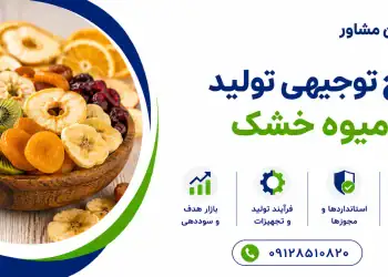 طرح تولید میوه خشک