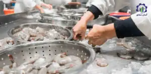 بررسی بازار داخلی و خارجی طرح احداث فارم پرورش میگو