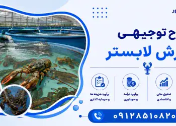طرح پرورش لابستر