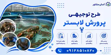 طرح پرورش لابستر