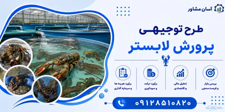 طرح پرورش لابستر