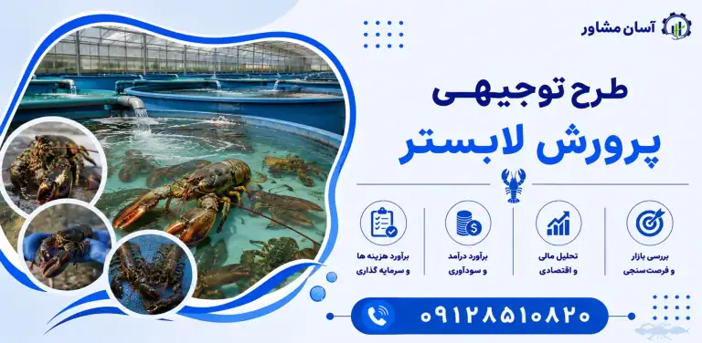 طرح پرورش لابستر