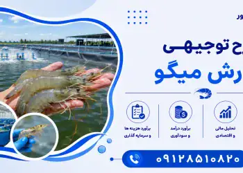 طرح پرورش میگو