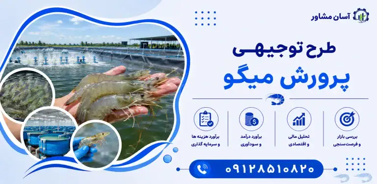 طرح پرورش میگو