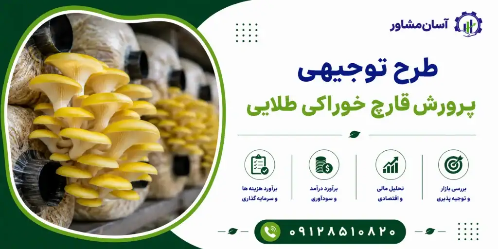 طرح پرورش قارچ خوراکی طلایی