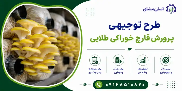 طرح پرورش قارچ خوراکی طلایی