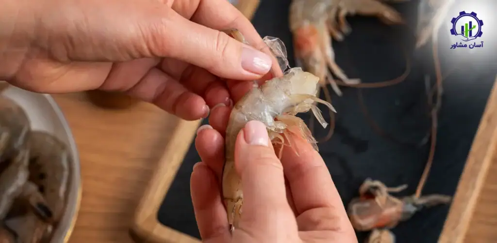 طرح توجیهی احداث فارم پرورش لابستر