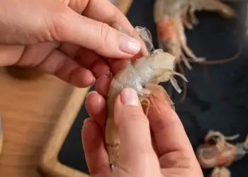 طرح توجیهی احداث فارم پرورش لابستر