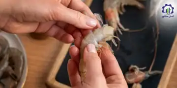 طرح توجیهی احداث فارم پرورش لابستر