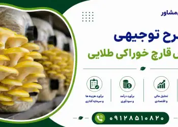 طرح پرورش قارچ خوراکی طلایی