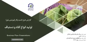 گزارش بیزینس پلن تولید انواع کلاه و دستباف