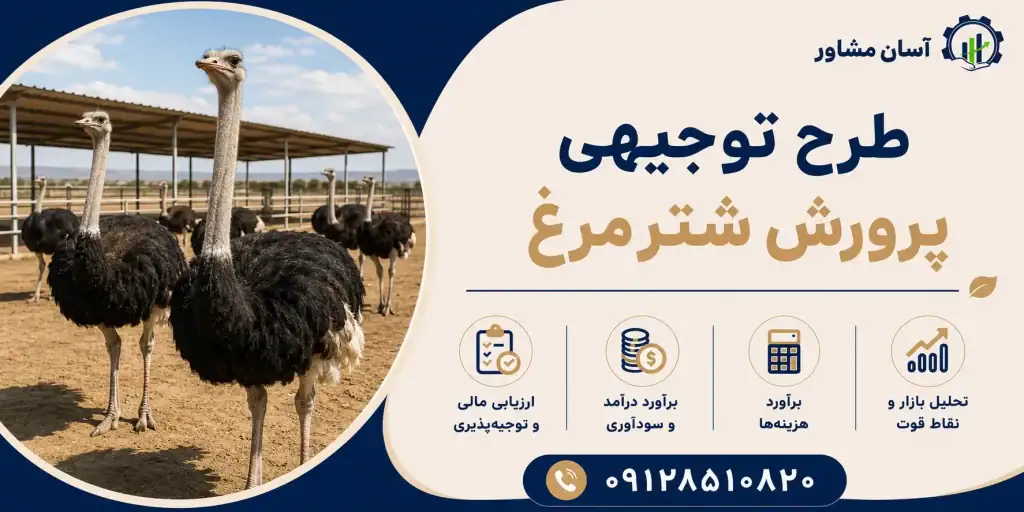 طرح پرورش شترمرغ