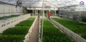 بررسی تجهیزات و تأسیسات احداث گلخانه آکواپونیک