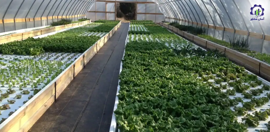 طرح توجیهی احداث گلخانه آکواپونیک