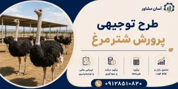 طرح پرورش شترمرغ