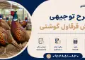 طرح پرورش قرقاول گوشتی