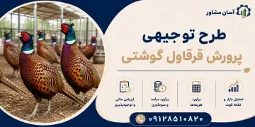 طرح پرورش قرقاول گوشتی
