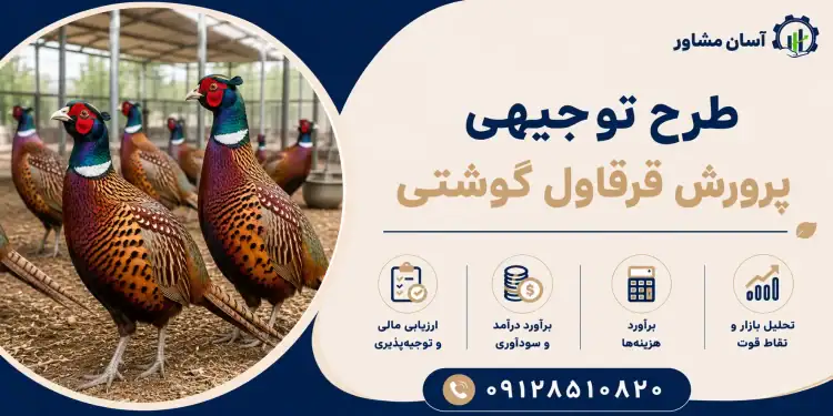 طرح پرورش قرقاول گوشتی