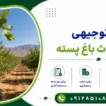 طرح احداث باغ پسته