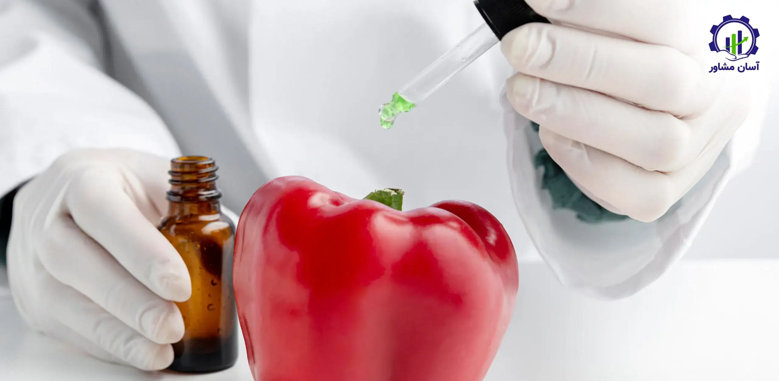 روند تولید لیکوپن؛ راهنمای جامع و تخصصی