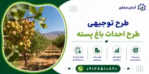 طرح احداث باغ پسته