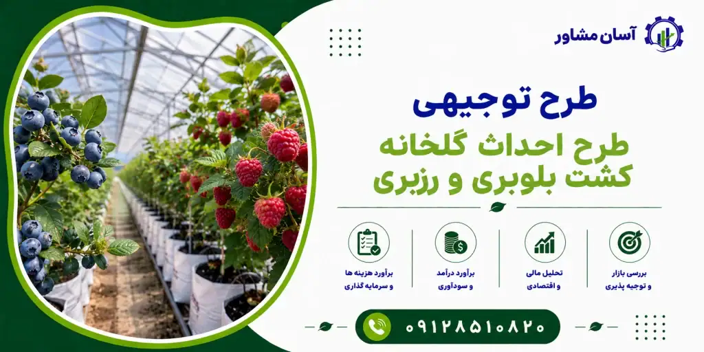 طرح احداث گلخانه کشت بلوبری و رزبری