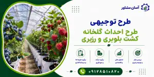طرح احداث گلخانه کشت بلوبری و رزبری