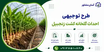 طرح احداث گلخانه کشت زنجبیل