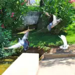 طرح توجیهی احداث باغ پرندگان