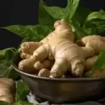 طرح توجیهی احداث گلخانه کشت زنجبیل