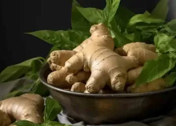 طرح توجیهی احداث گلخانه کشت زنجبیل