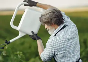 طرح توجیهی تولید کود مایع