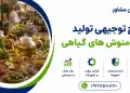 طرح تولید انواع دمنوش های گیاهی