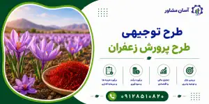 طرح پرورش زعفران