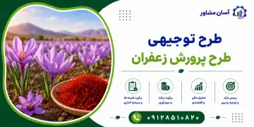 طرح پرورش زعفران