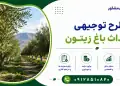 طرح احداث باغ زیتون