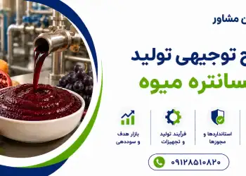 طرح تولید کنسانتره میوه
