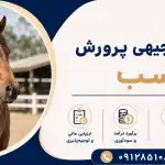 طرح پرورش اسب