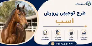 طرح پرورش اسب